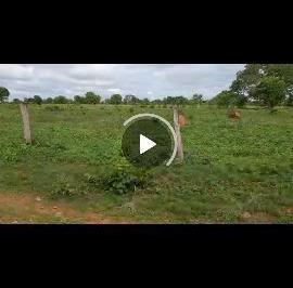 2567_imovelintegrado_imovelweb_1.jpg · Fazenda Centro Sao Felix Do Araguaia Mt