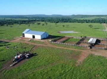 2870_imovelintegrado_imovelweb_1.jpg · Fazenda Centro Paranatinga Mt