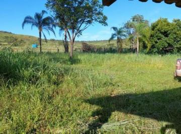 3251_imovelintegrado_imovelweb_1.jpg · Fazenda Nova Flores Flores de Goias Go