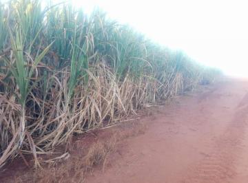 2804_imovelintegrado_imovelweb_1.jpg · Fazenda Centro Capivari Sp