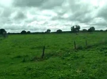 3088_imovelintegrado_imovelweb_1.jpg · Fazenda Centro Sao Felix Do Araguaia Mt