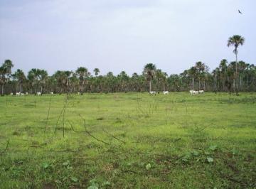 3185_imovelintegrado_imovelweb_1.jpg · Fazenda Centro Sao Felix Do Araguaia Mt