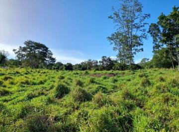 2356_imovelintegrado_imovelweb_1.jpg · Fazenda Setor Central Ipameri Go