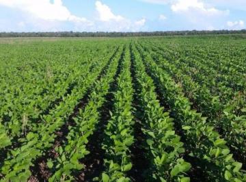 3023_imovelintegrado_imovelweb_1.jpg · Fazenda Centro Paranatinga Mt