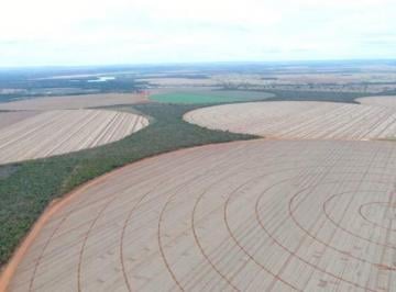 2373_imovelintegrado_imovelweb_1.jpg · Fazenda Santana Paracatu Mg
