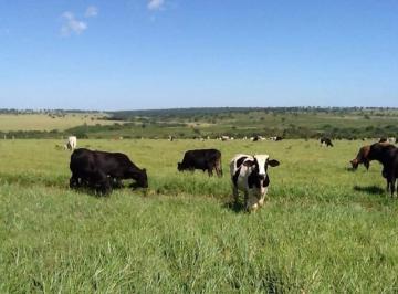 2924_imovelintegrado_imovelweb_1.jpg · Fazenda Centro Nova Andradina Ms