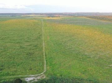 2376_imovelintegrado_imovelweb_1.jpg · Fazenda Centro Paranatinga Mt