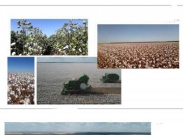 2961_imovelintegrado_imovelweb_1.jpg · Fazenda Centro Nova Mutum Mt