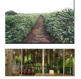 2502_imovelintegrado_imovelweb_1.jpg · Fazenda Centro Campo Belo Mg