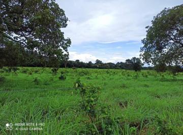 2366_imovelintegrado_imovelweb_1.jpg · Fazenda Centro Porangatu Go