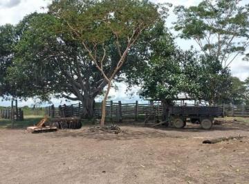 2707_imovelintegrado_imovelweb_1.jpg · Fazenda Centro Pocone Mt