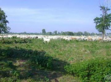 1756_imovelintegrado_imovelweb_1.jpg · Fazenda Centro Pocone Mt