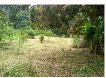 2978_imovelintegrado_imovelweb_1.jpg · Fazenda Via Parque Rio Bonito Rj