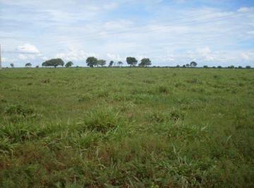 3024_imovelintegrado_imovelweb_1.jpg · Fazenda Centro Primavera Do Leste Mt