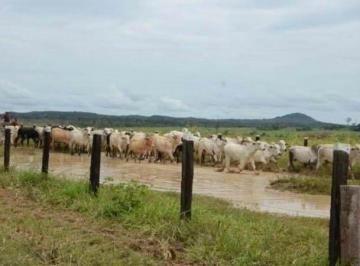 1693_imovelintegrado_imovelweb_1.jpg · Fazenda Centro Peixoto de Azevedo Mt