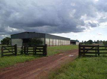 2736_imovelintegrado_imovelweb_1.jpg · Fazenda Centro Sao Felix Do Araguaia Mt