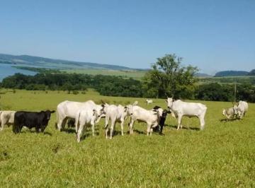 2845_imovelintegrado_imovelweb_1.jpg · Fazenda Parque Das Americas Uberaba Mg
