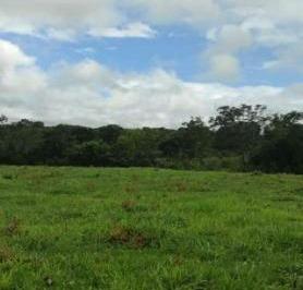3440_imovelintegrado_imovelweb_1.jpg · Fazenda Centro Formosa Go