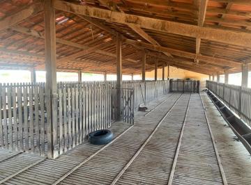 Rural , Maranguape · Fazenda Em Maranguape 525 Hectares. 9 Açudes. Grande Estrutura Física.
