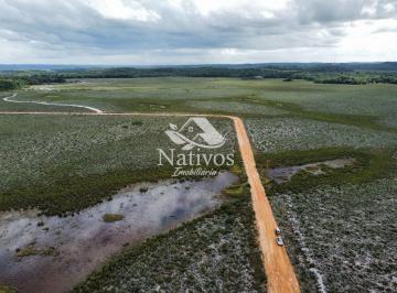 Rural · 2ha · Oportunidade Rural: Terrenos Em Maraú Ideais Para Sítios E Chácaras