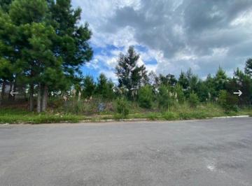 b91b5ff1-3263-4d5a-a385-d0fc499a41ed · Terreno À Venda - Em Gramado