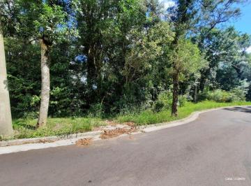 457c91e5-ab13-4c43-a4a8-5a865c28e75e · Terreno À Venda - Na Floresta