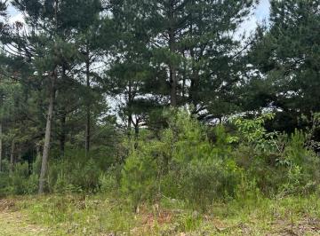 Terreno · 609m² · Terreno Com 609,00 m² No Loteamento Marsal Em Gramado