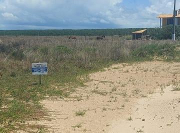 Terreno · 300m² · Terreno À Venda - Em Passo de Torres