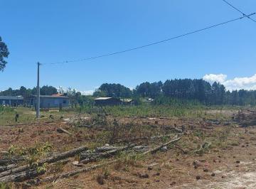 Terreno · 600m² · Terreno À Venda - Em Passo de Torres