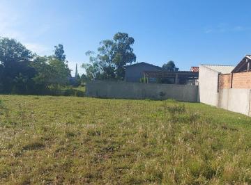 Terreno · 300m² · Terreno À Venda - Em Passo de Torres