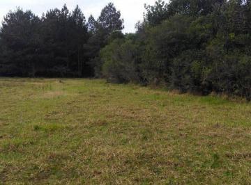20190730T1408520300-530261565.jpg · Baita Terreno C/ 4.000 m², Fácil Acesso, Escriturado, Estudo Propostas!