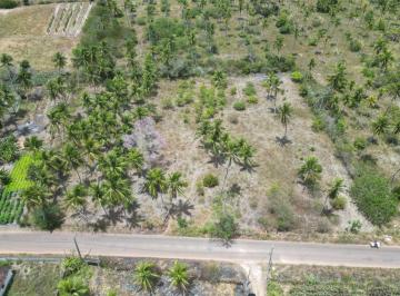 Terreno · 8853m² · Terreno À Venda, 8852 m² por R$150.000 - Mendes - São José de Mipibu/rn