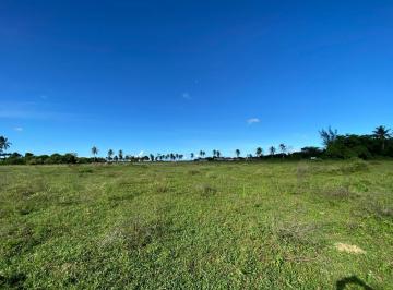 Terreno · 53000m² · Área Para Investimento