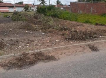 Terreno · 300m² · Terreno Na Av Principal Do Loteamento Brasil