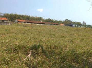 Terreno · 4000m² · Terreno Para Venda Em Tuiuti, Zona Rural