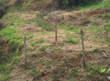71298f2df828a6831ebfd7f701383a8a.jpg · Terreno À Venda, 506 m² por R$180.000 - Santos Dumont - Juiz de Fora/mg