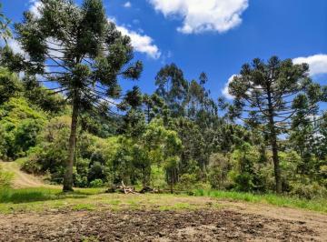 34326_i4e8jg663i3J5_3432666869735df7b3.jpg · Terreno de 25774.8 m² No Bairro Rancho Queimado