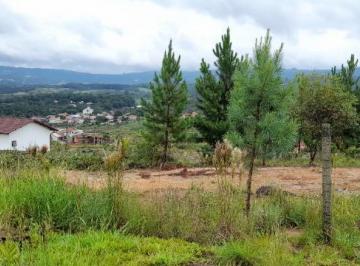 2024/07/b3cc2d7bcd812ace5fb230802cbf949e.jpg · Terreno - Bairro Naspolini