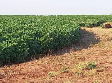 3524_imovelintegrado_imovelweb_1.jpg · Fazenda Coronel Antonino Campo Grande Ms