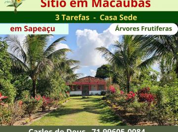 Terreno de 2 quartos, Sapeaçu · Sitio Em Macaubas, Excelente 3 Tarefas, Árvores Frutíferas, Próximo Sapeaçu
