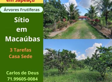 Terreno de 3 quartos, Sapeaçu · Sensacional Sitio Em Macaubas, 3 Tarefas, Árvores Frutíferas, Próximo Sapeaçu