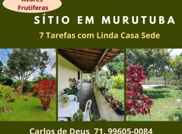 Terreno de 4 quartos, Sapeaçu · Oportunidade, Sítio Em Murutuba, 7 Tarefas, Arvores Frutíferas, Px. Cachoeira