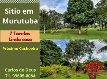 Terreno de 4 quartos, Cachoeira · Excelente Sítio Em Murutuba, Linda Casa Sede, 7 Tarefas, Arvores Frutíferas