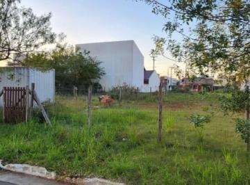 2024/07/69a12758aa64a53032c1081a1e8e7599.jpg · Terreno - Parque Da Matriz