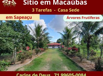 Terreno de 2 quartos, Sapeaçu · Lindo Sitio Em Macaubas, 3 Tarefas, Árvores Frutíferas, Próximo Sapeaçu