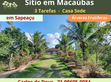 Terreno de 2 quartos, Sapeaçu · Excelente Sitio Em Macaubas, 3 Tarefas, Árvores Frutíferas, Próximo Sapeaçu