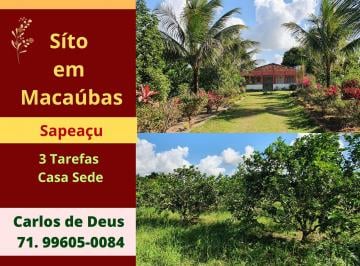 Terreno de 2 quartos, Sapeaçu · Excelente Sitio Em Macaubas, 3 Tarefas, Árvores Frutíferas, Próximo Sapeaçu
