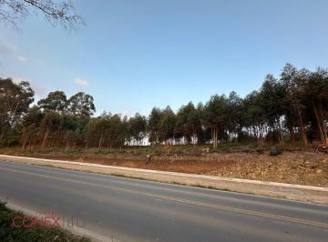 4894_iz6LbZeL41_489466a50b54523be.jpg · Imoveis - Em Nova Sardenha