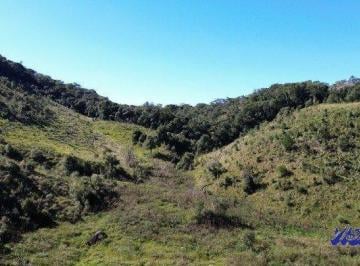 5686_i1pFR2N2u_568666a7dceb94898.jpg · Terreno 249.000 m² Rancho Queimado 8347