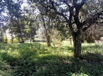 RI6o8LwvlOmtBspy73xoZMBIBtyLRY8d.jpg · Terreno À Venda, 6048 m² por R$7.257.600 - Jardim Maristela - Atibaia/sp